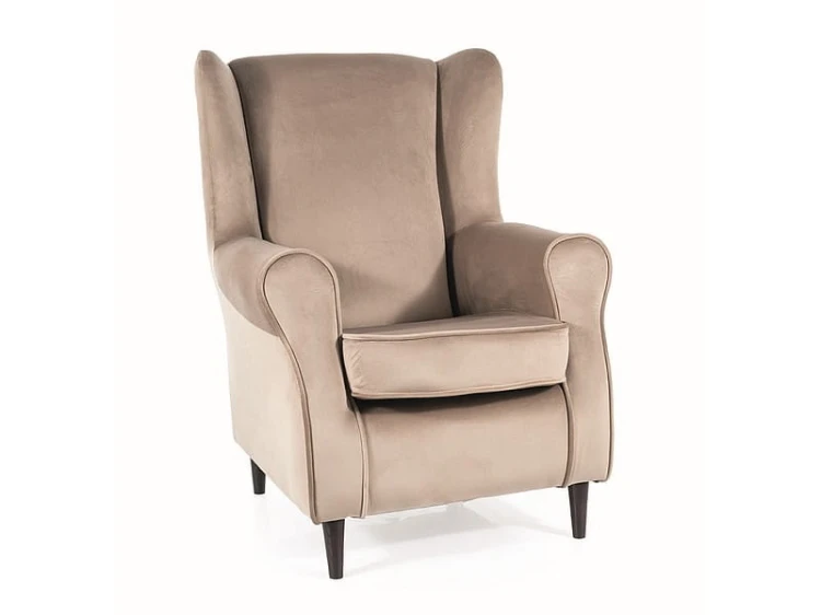 BARONV40 FOTEL-BARON-VELVET-C-BEZ-BLUVEL-40-WENGE.jpg
