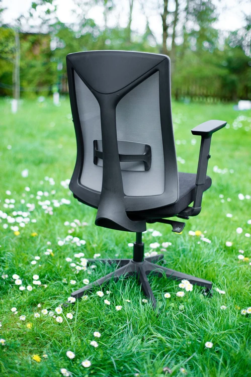 fotel-hager-stema-back.jpg