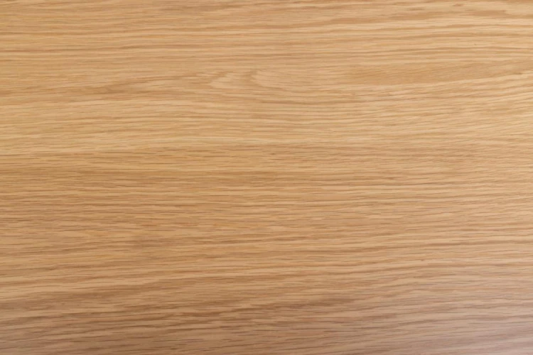 eb3cecd8ce417e0c1db57a3eb7ea4e06