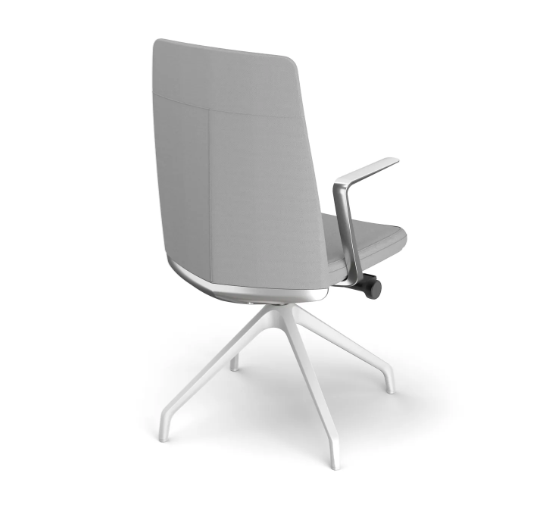 fotel-dual-1-bgroup-2.png