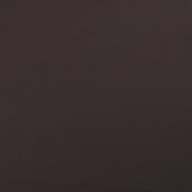 T5.JPG