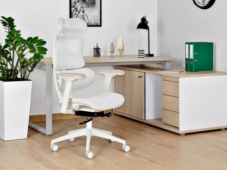 fotel-ergotech-white-1-aranzacja.jpg