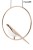 MSE010100294_bird_disc_2.jpg
