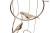 MSE010100294_bird_disc_6.jpg
