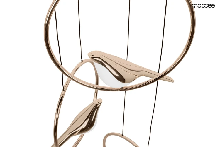 MSE010100294_bird_disc_6.jpg