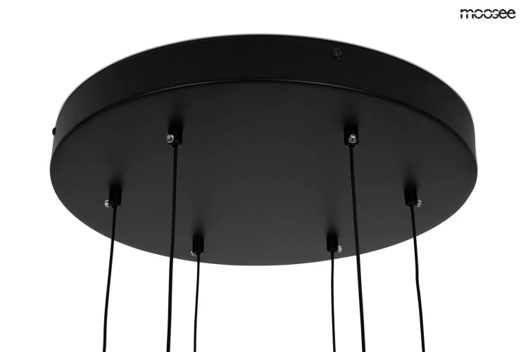 MSE010100294_bird_disc_8.jpg