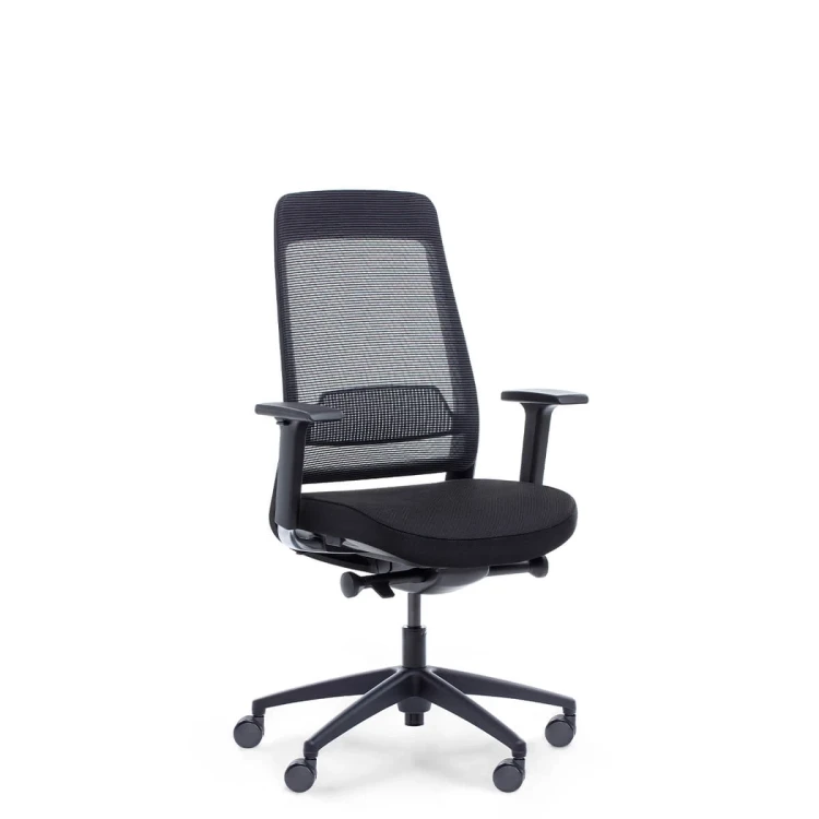 fotel-biurowy-ergonomiczny-elzap-shine.jpg