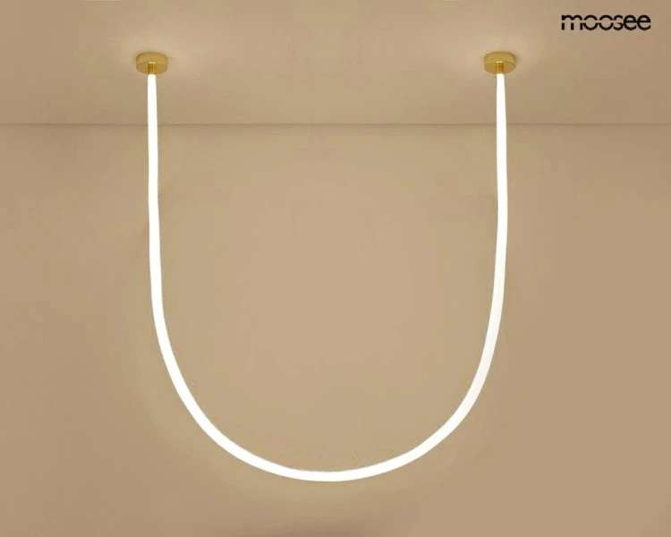 MSE1501100495_lasso800_2.jpg