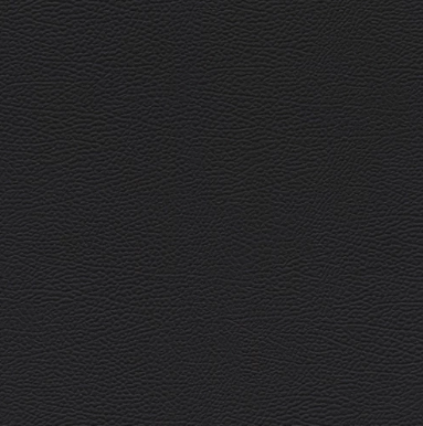 skora-ml-1.png