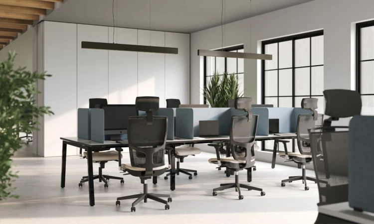 z-body-cs5040-privi-nowy-styl-arrangement-33063.jpg