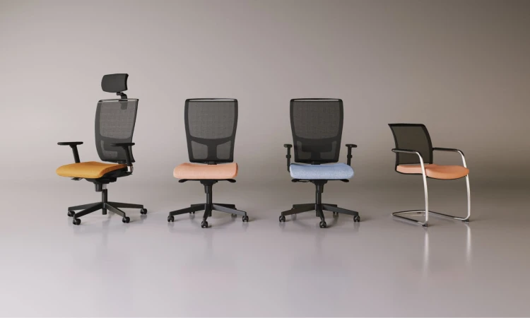 z-body-nowy-stylabout-line-header-33065.jpg