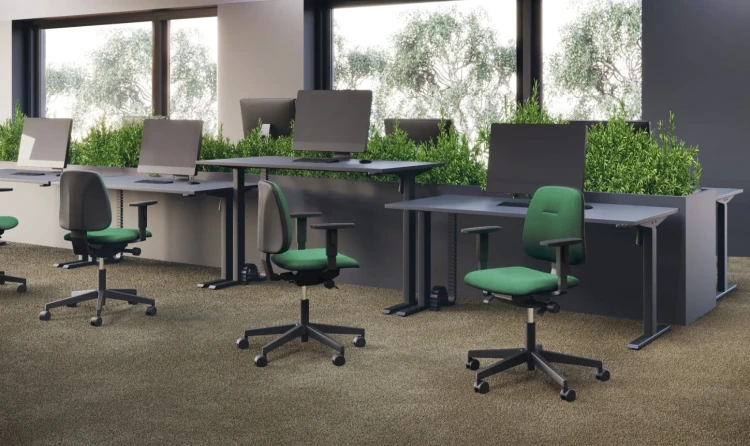 segla-ecomo-nowy-styl-open-space-arrangement-32728.jpg