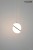 MSE010100238_globe25_moosee_06.jpg