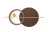 MSE1501100515_moons_1.jpg