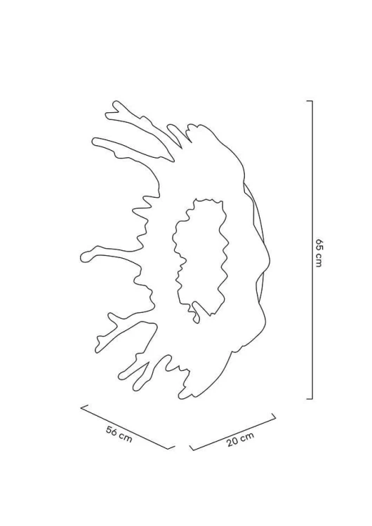 MSE1501100172_splashM.jpg