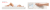 FDM (1).png
