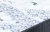 7775.webp