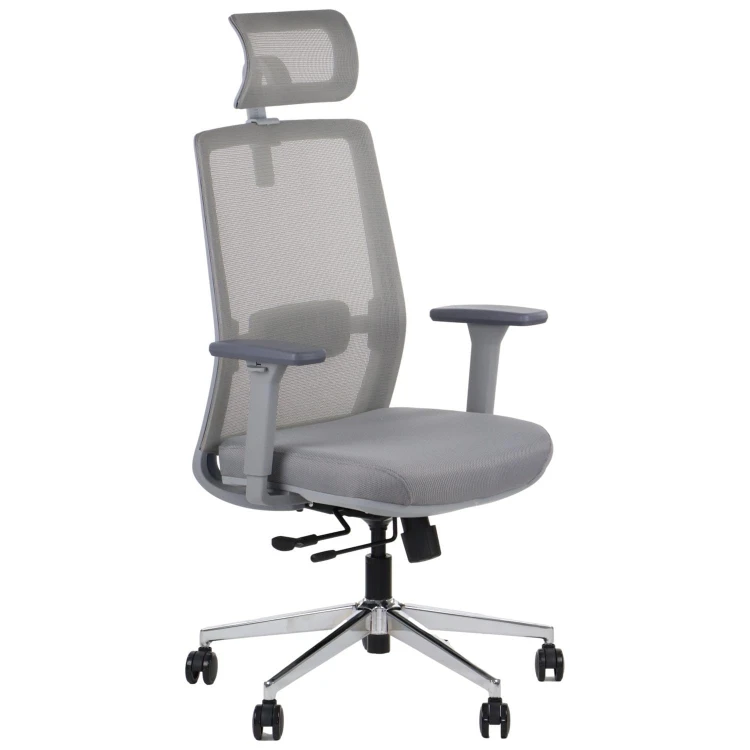 Fotel ergonomiczny CUTLER GF szary