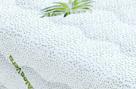 aloe-vera.webp