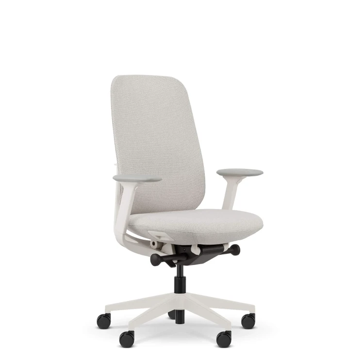 fotel-ergonomiczny-biline-bez-zaglowka-szary-1-stokrzesel-pl.jpg