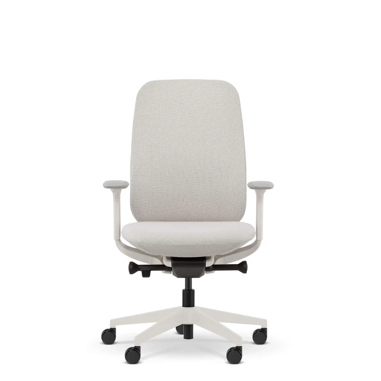 fotel-ergonomiczny-biline-bez-zaglowka-szary-5-stokrzesel-pl.jpg