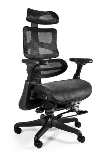 fotel-ergonomiczny-Ergothrone-z-podnozkiem-1-stokrzesel-pl.jpg