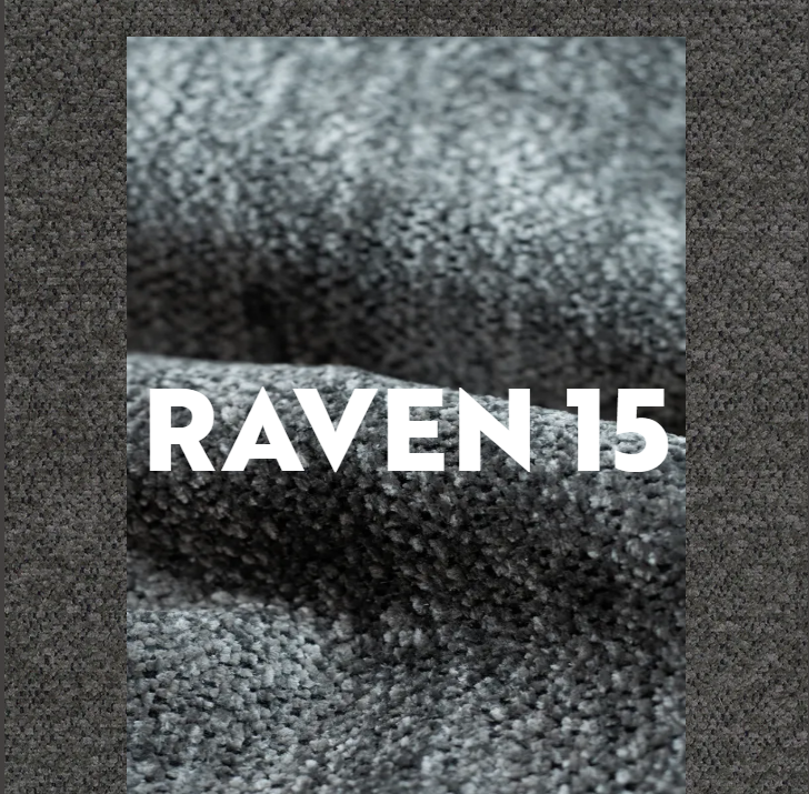 raven-15.png