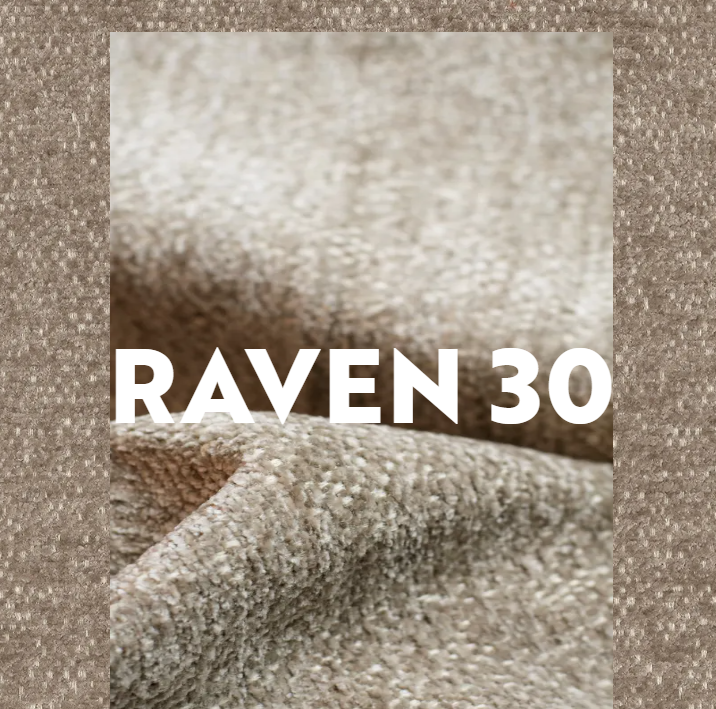 raven-30.png