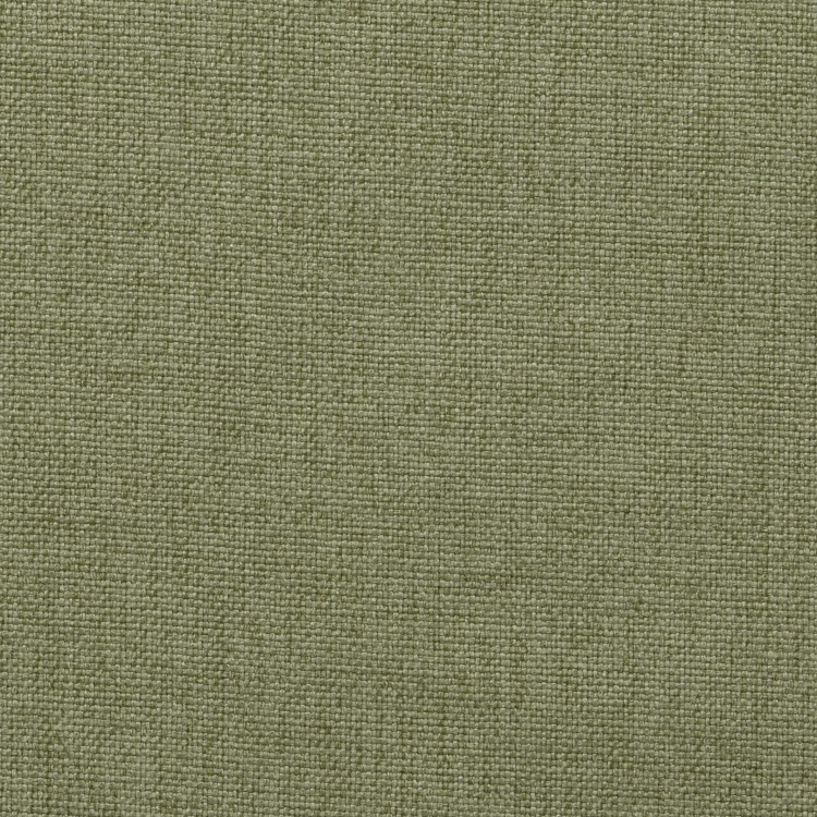 kenya-avocat.webp