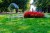 krzeslo-elizabeth-transparentne-garden