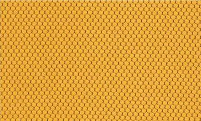 BL404 Honey.jpg