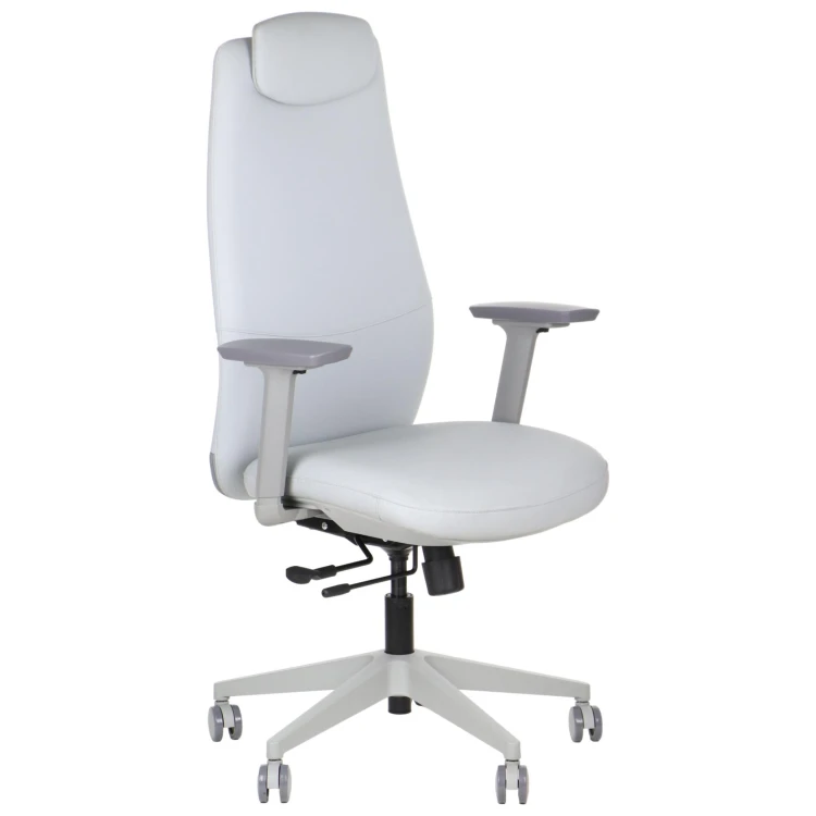 Fotel biurowy ergonomiczny SELLA GF szara ekoskóra